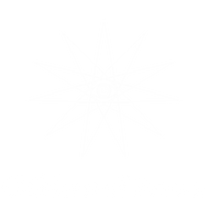 Children Of Saturn